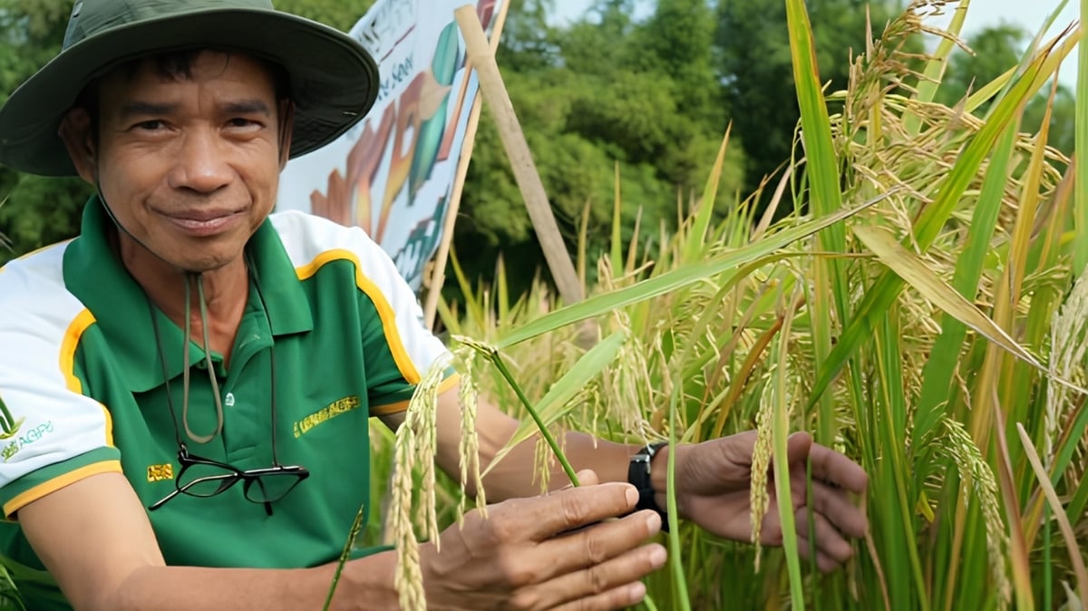 Leads Agri Marks 29 Years of Empowering Filipino Farmers