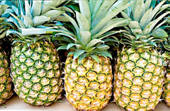 Phl pineapples expand to Middle East market