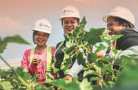Green Energy goes hand-in-hand with food security