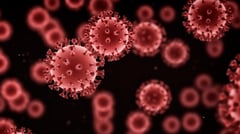 DoH broadens HIV shield, includes foreign tourists