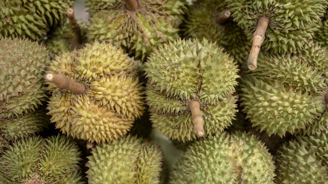 DURIAN ‘TSUNAMI’ SLASHES PRICES