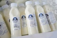 Isko expands 'Yormilk' feeding program