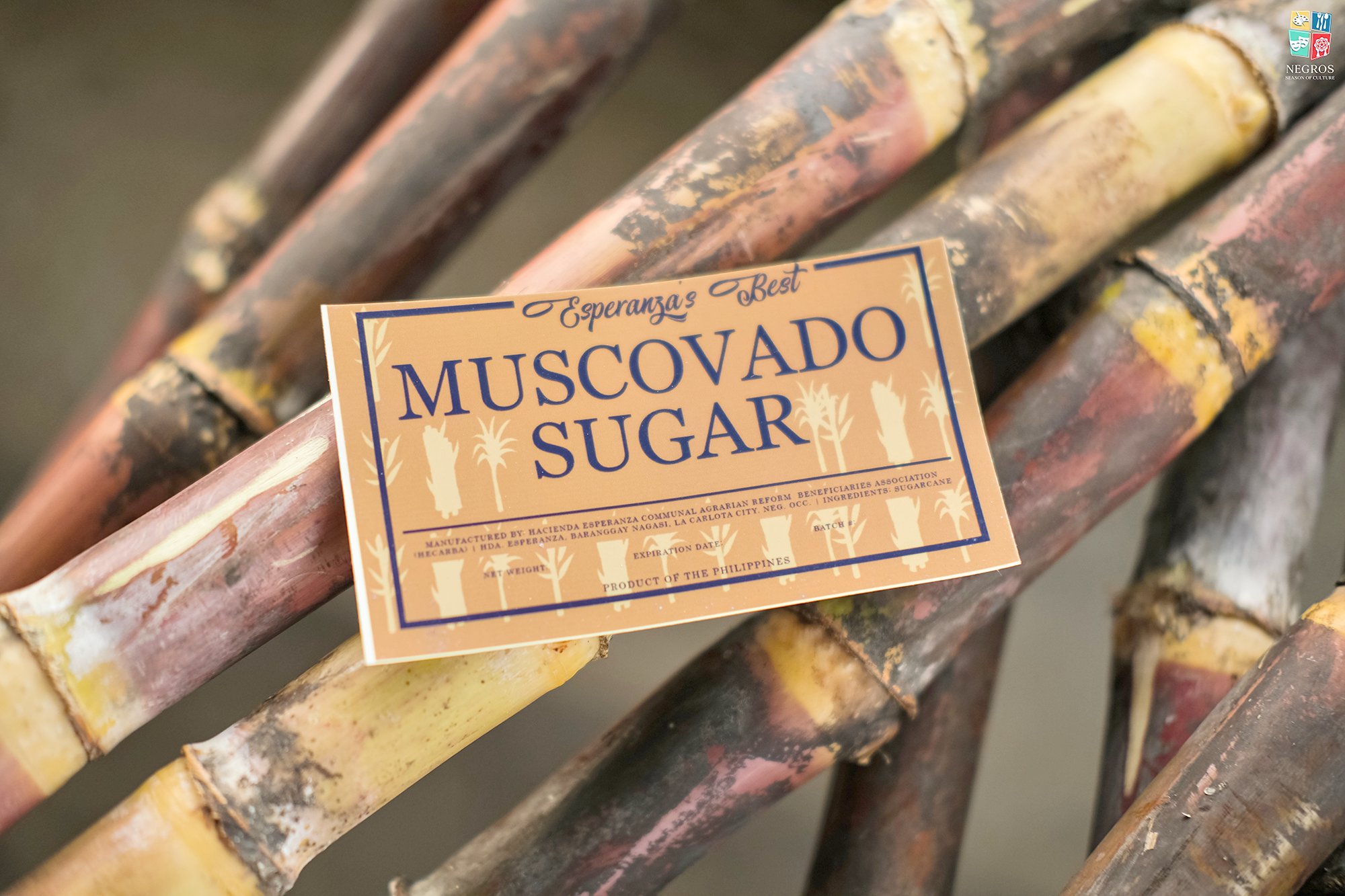 Negros gears for solarized muscovado production