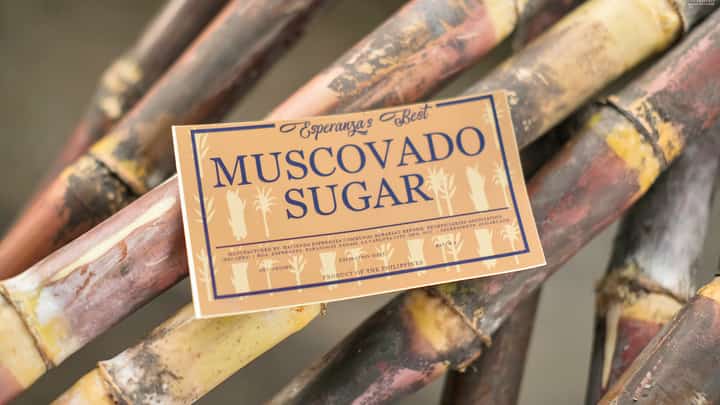 THE muscovado variant of sugar cane that is endemic in Negros Occidental.