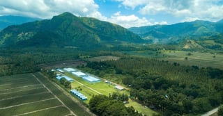 Rare-earth imports propel Phl standing