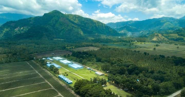 Rare-earth imports propel Phl standing