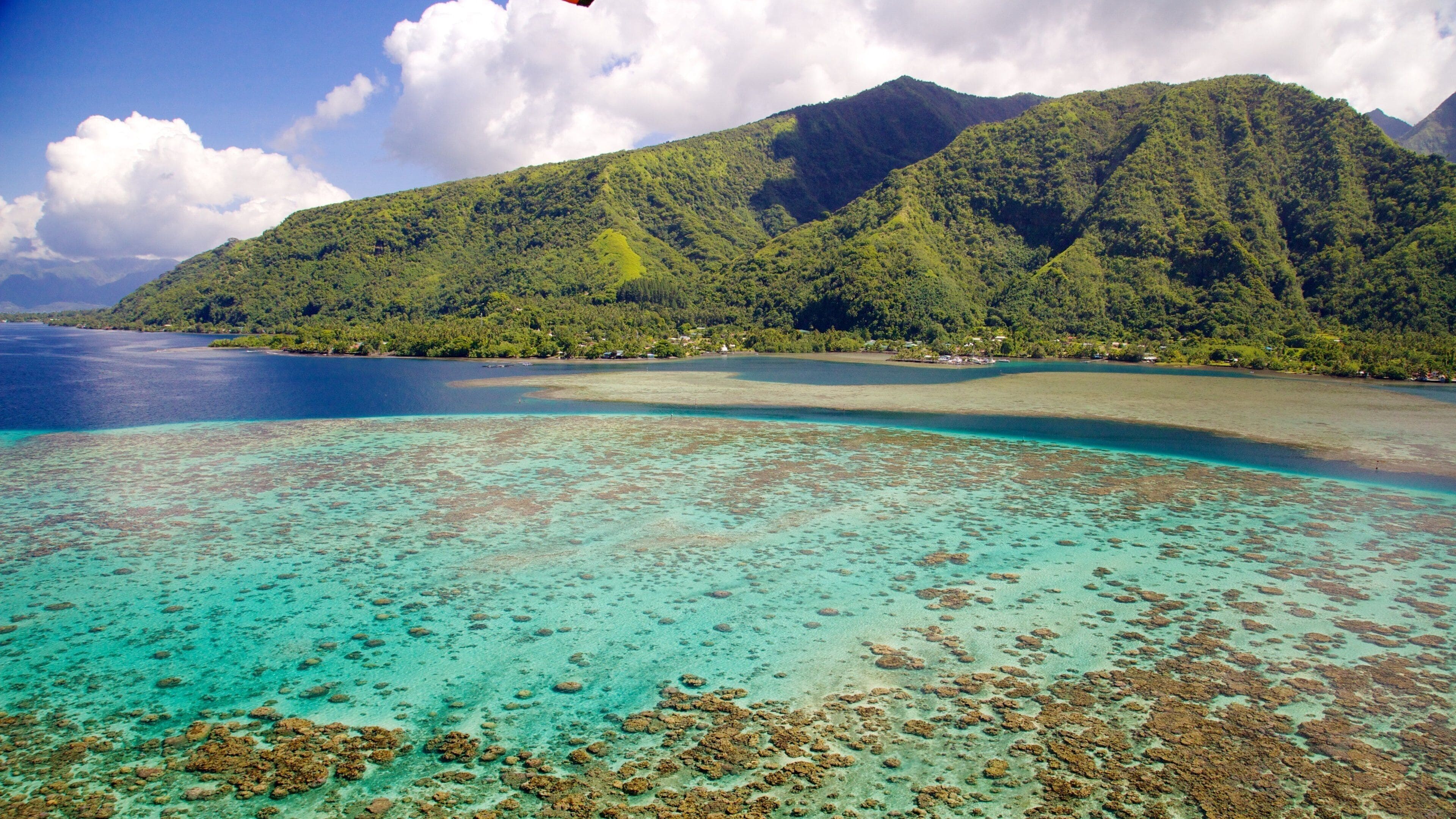 French Polynesia to protect more pacific ocean