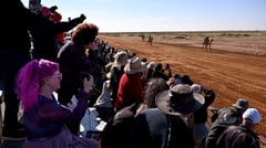 ‘HIGH-STRUNG’ CAMELS RACE IN AUSTRALIAN OUTBACK