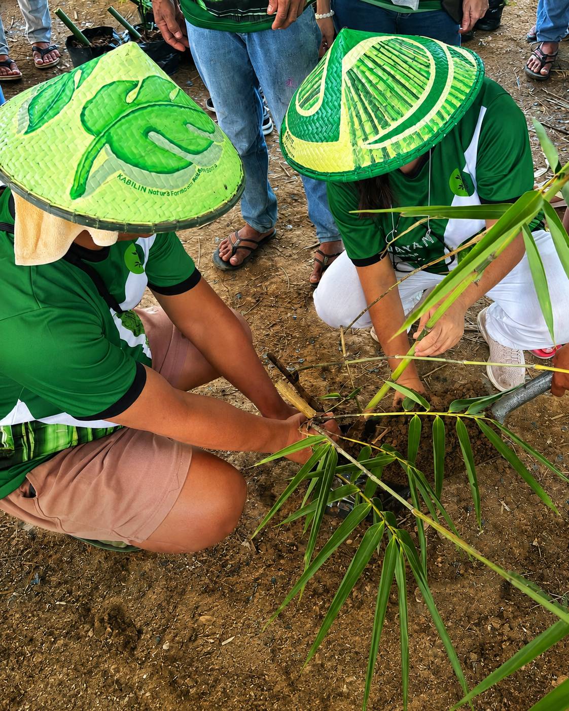 CARBONPH aims to restore and protect more than 40,000 to 71,000 hectares of forest landscapes, primarily within the Central Cebu Protected Landscape and surrounding ecosystems.