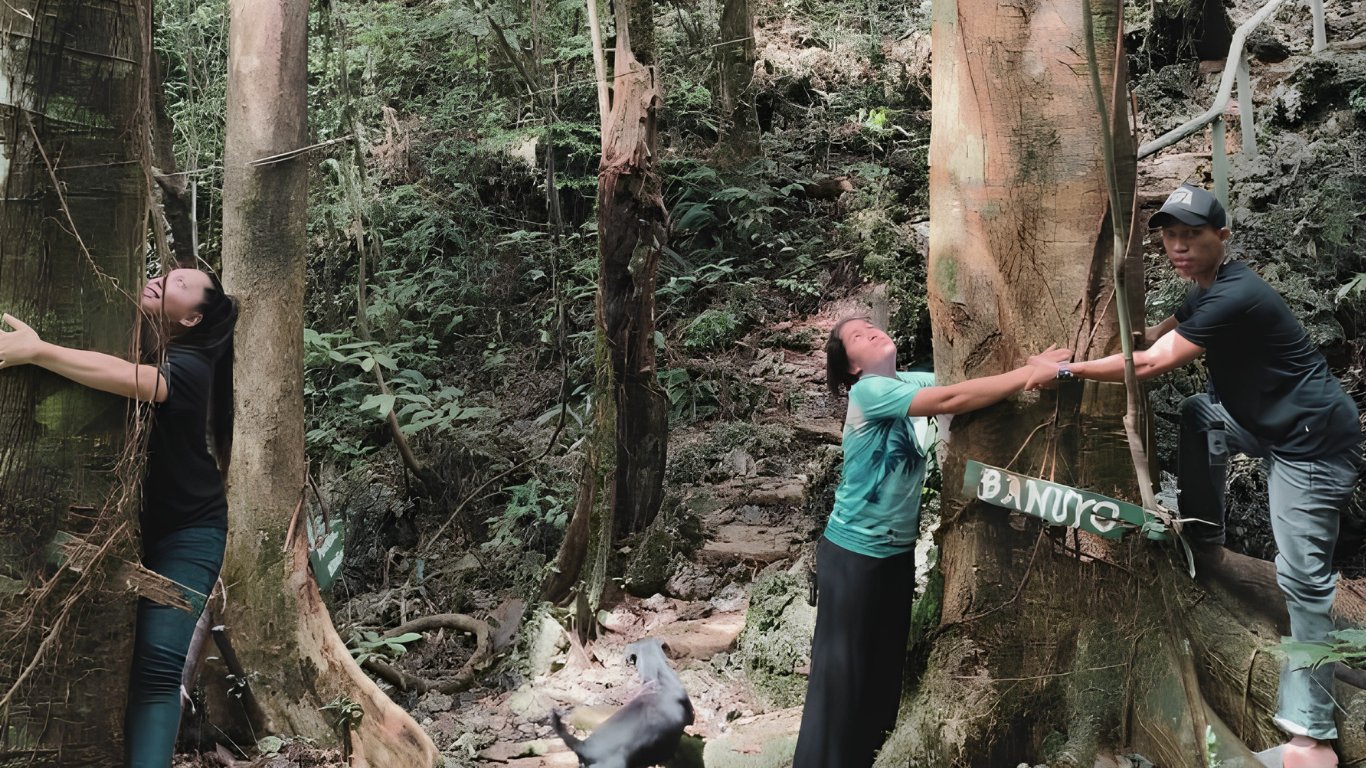Samar project taps carbon credits, private investment