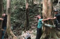 Samar project taps carbon credits, private investment