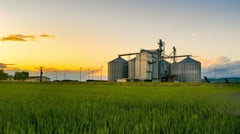 DILG, DA roll out tax exemption for farm storage facilities
