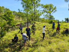 Zambales forestland destroyed by forest fire restored