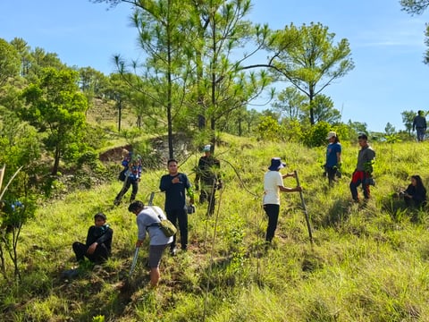 Zambales forestland destroyed by forest fire restored