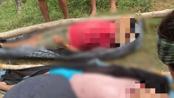 2 duck farm workers found slain in Maguindanao del Sur