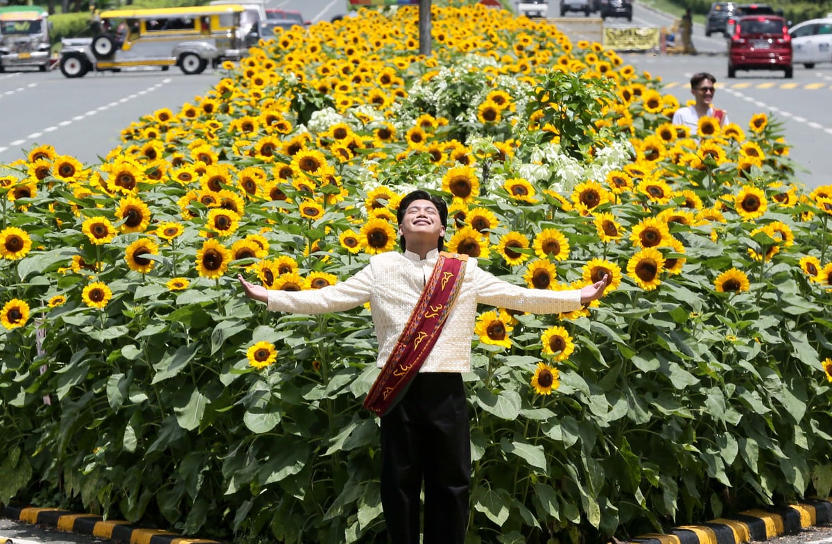 (July 03 2026) Graduates students in the iconic oblation pose for photos and others take selfies at the sunflower display along University Avenue at the University of the Philippines Diliman in Quezon City on Friday, July 3 2026, The annual sunflower display has become a hallmark of graduation season at UP Diliman, attracting graduating students and their families who gather for commemorative photographs before the commencement rites. Photo/Analy Labor