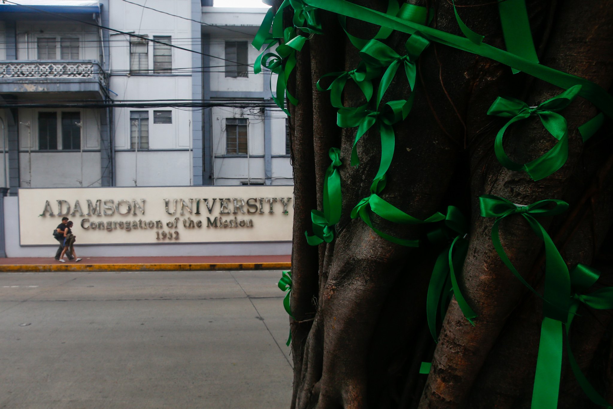The Adamson University community displays green ribbons on its fences to call for the protection of green spaces and heritage sites and to protest the proposed construction of the Southern Access Link Expressway (SALEX). The community raises concerns over the project's possible impact on the university's campus environment, trees, surrounding community, and historical structures. The university has been designated a historical site by the National Historical Institute.