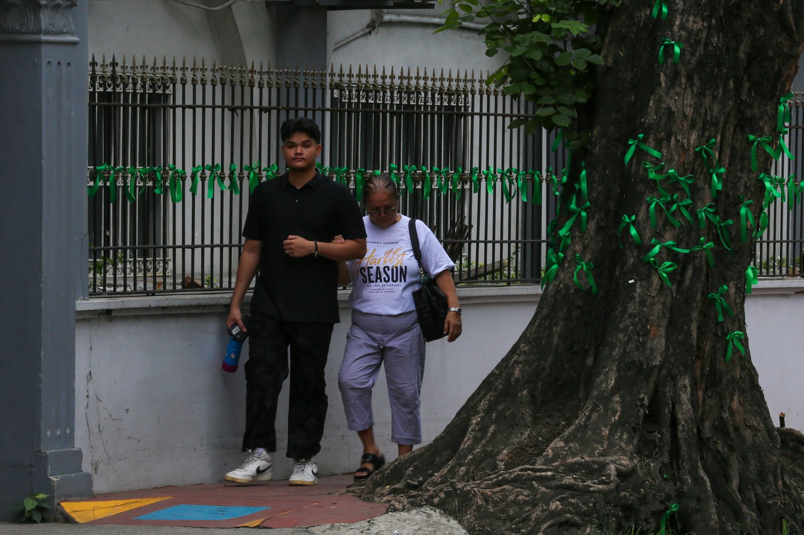 The Adamson University community displays green ribbons on its fences to call for the protection of green spaces and heritage sites and to protest the proposed construction of the Southern Access Link Expressway (SALEX). The community raises concerns over the project's possible impact on the university's campus environment, trees, surrounding community, and historical structures. The university has been designated a historical site by the National Historical Institute.