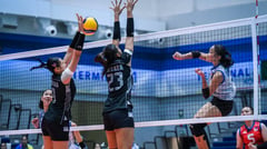 Indonesia pulls plug on Alas bid
