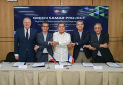 Private capital powers 120,000-hectare Samar megaforest drive