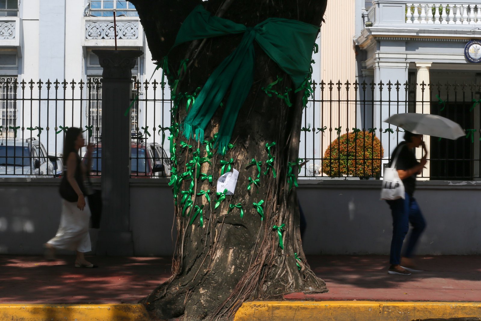 The Adamson University community displays green ribbons on its fences to call for the protection of green spaces and heritage sites and to protest the proposed construction of the Southern Access Link Expressway (SALEX). The community raises concerns over the project's possible impact on the university's campus environment, trees, surrounding community, and historical structures. The university has been designated a historical site by the National Historical Institute.