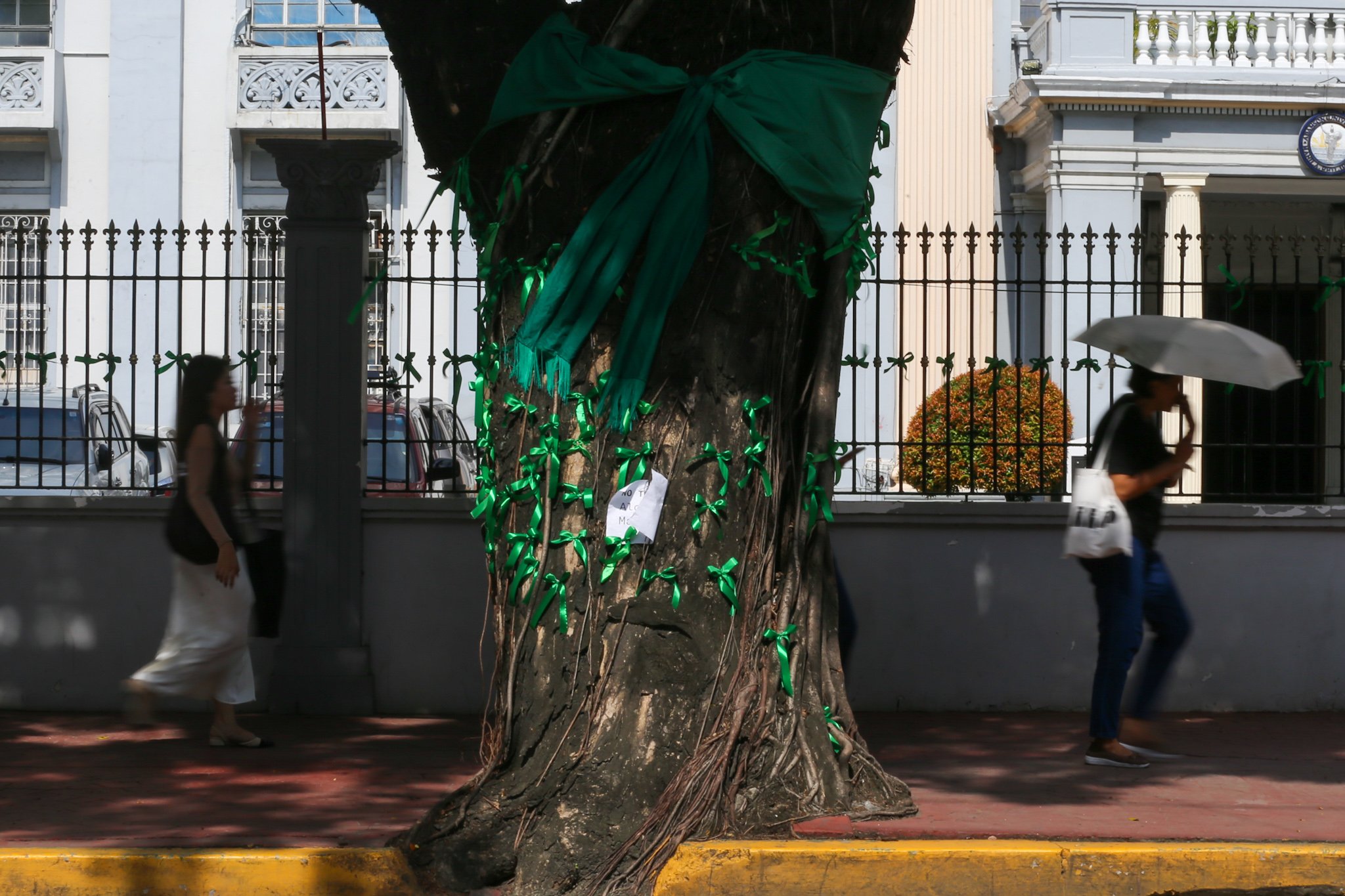 The Adamson University community displays green ribbons on its fences to call for the protection of green spaces and heritage sites and to protest the proposed construction of the Southern Access Link Expressway (SALEX). The community raises concerns over the project's possible impact on the university's campus environment, trees, surrounding community, and historical structures. The university has been designated a historical site by the National Historical Institute.
