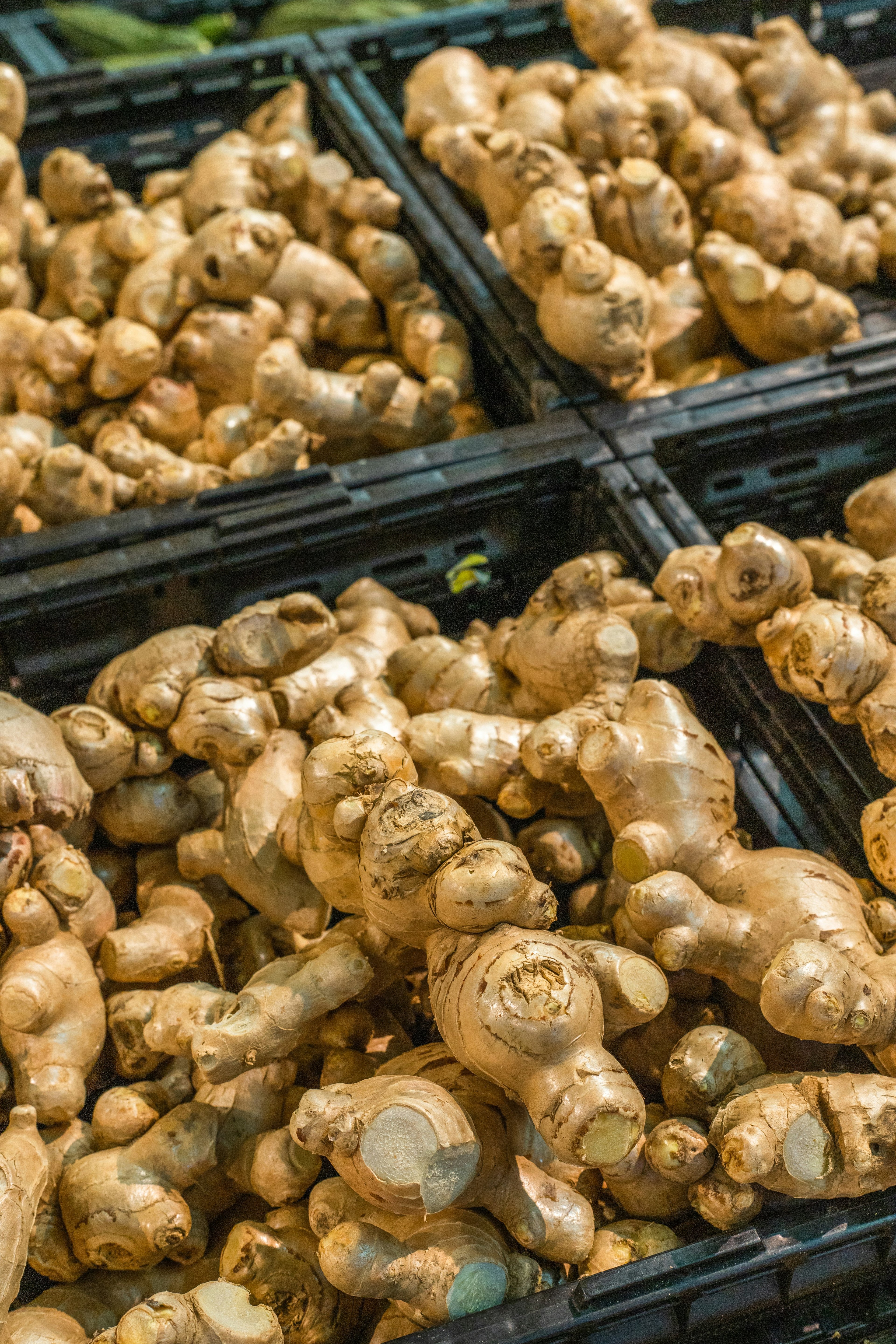 GINGER is widely recognized as a versatile ingredient that contributes both flavor and health benefits in balanced diets.