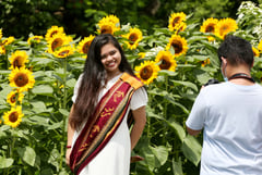 Sunflower season