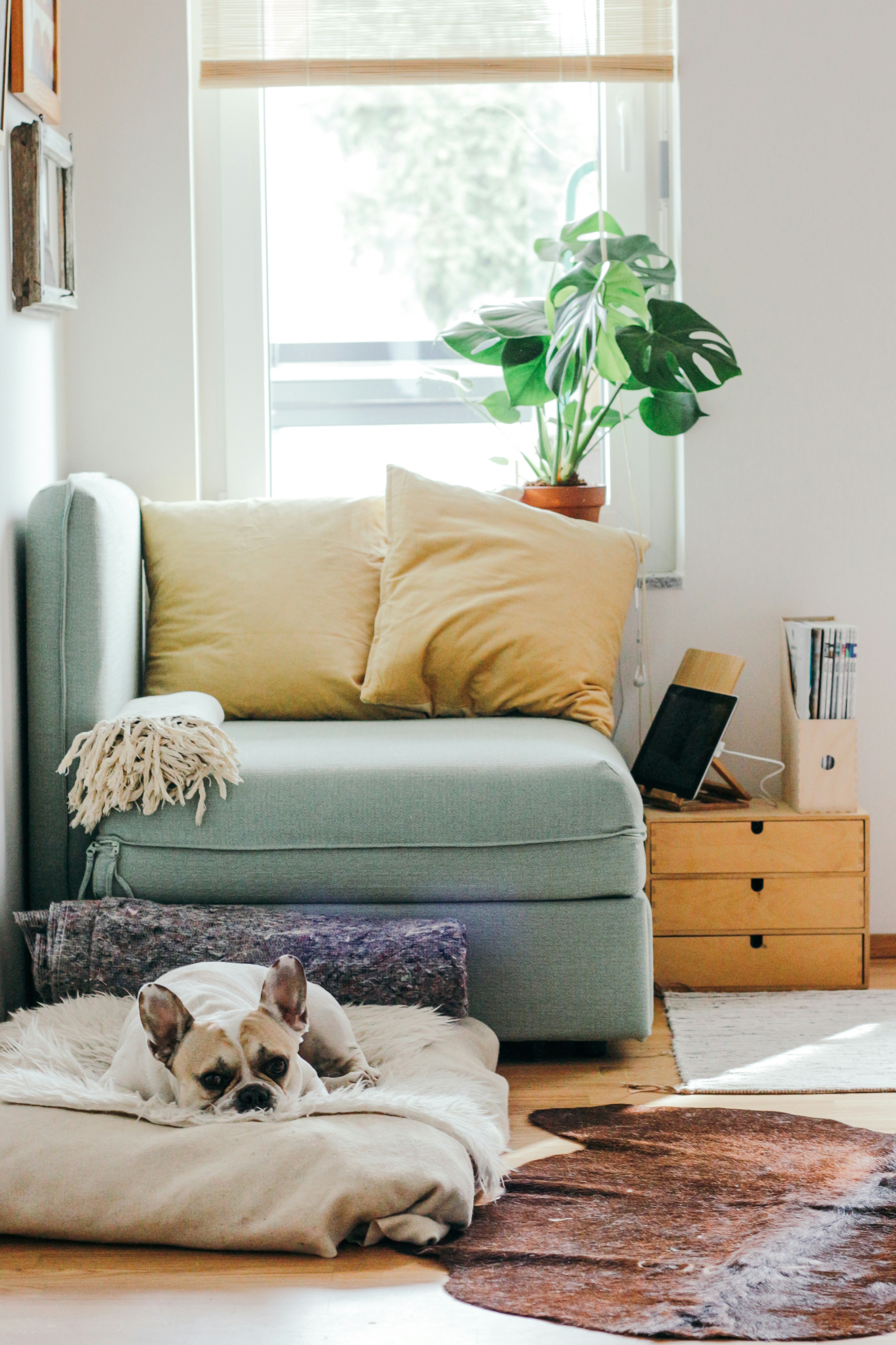 Solo living checklist for young professionals