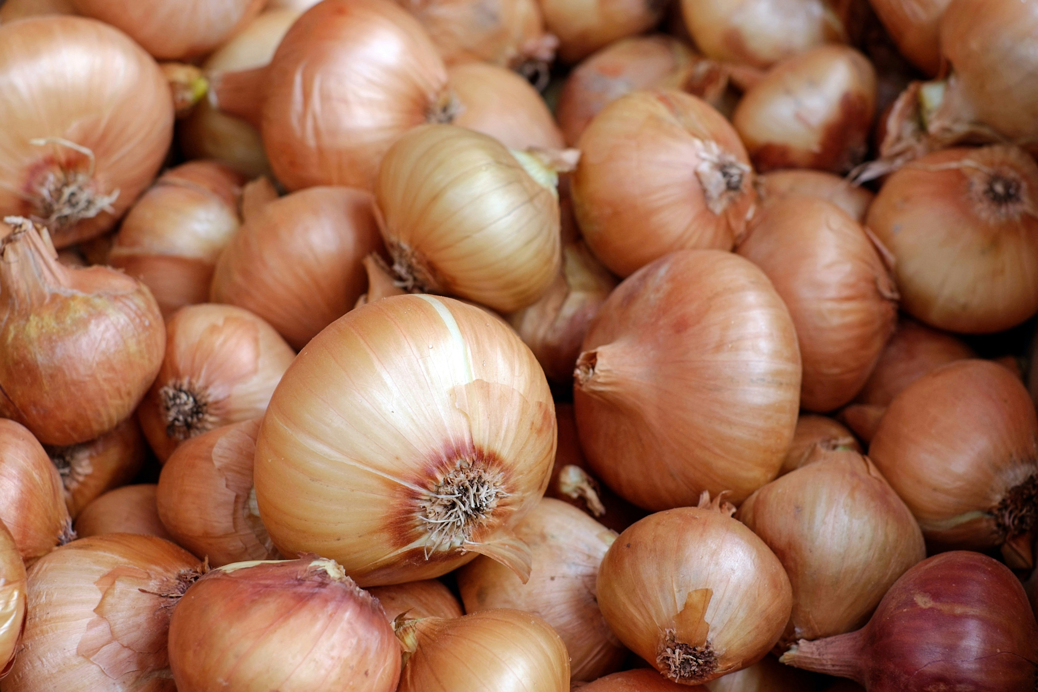 ONION is encouraged as a key ingredient in reducing dependence on processed and high-sodium condiments.