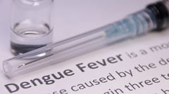 Dengue cases down 65%