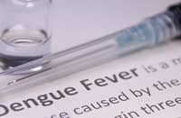 Dengue cases down 65%