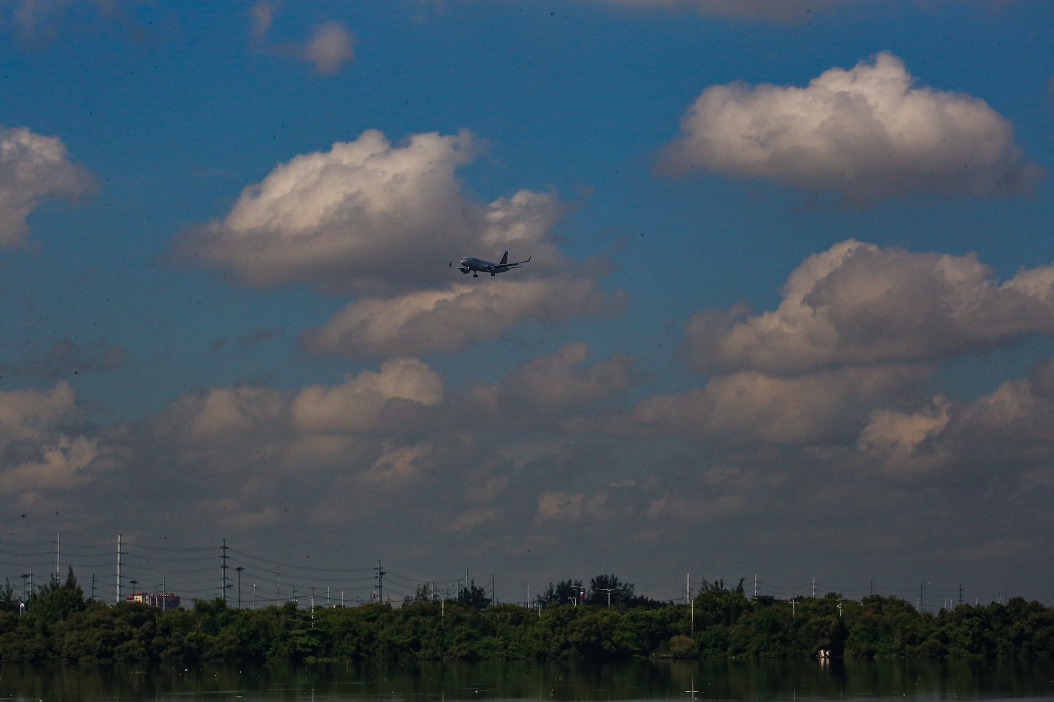 Black-crowned night herons and egrets are seen at the Las Piñas–Parañaque Wetland Park on 5 July 2026. A proposal is being considered in the Senate to relocate the bird sanctuary because of its proximity to the Ninoy Aquino International Airport (NAIA), citing concerns over bird-strike risks to aviation. The Department of Environment and Natural Resources, however, said its research indicates that bird strikes at NAIA have been linked to pigeon racing rather than the wetland's migratory birds. The Las Piñas–Parañaque Wetland Park is one of the Philippines' 10 Ramsar sites, recognized as a wetland of international importance for its role as a habitat for migratory waterbirds along the East Asian–Australasian Flyway.