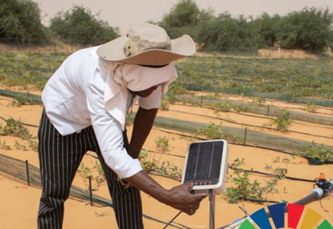SDG Report 2026 out
