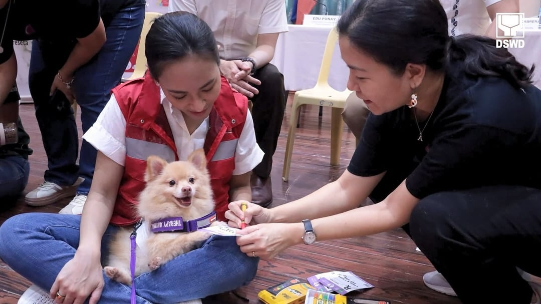 How animal welfare is doing
