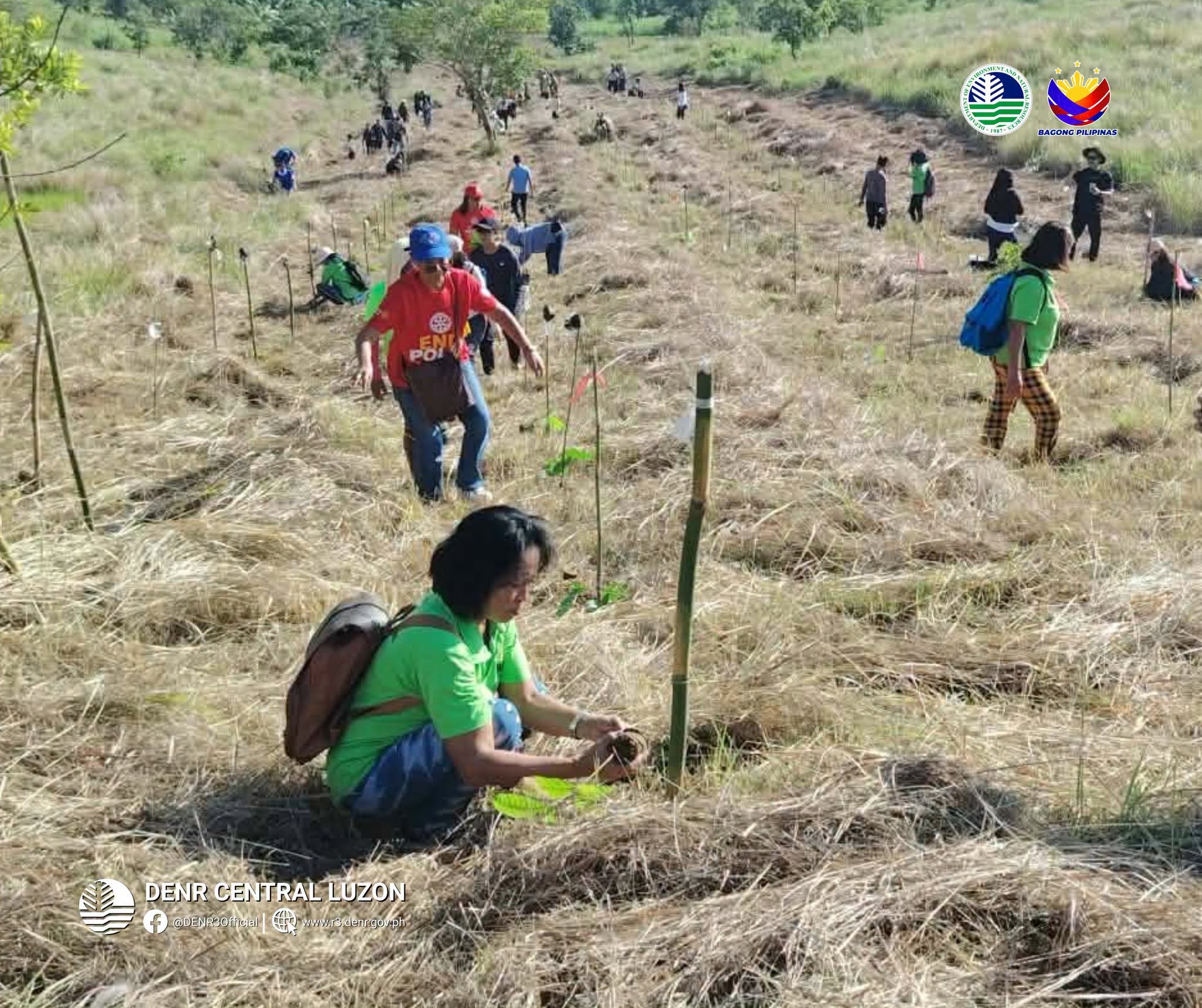200 native tree seedlings planted in Subic town