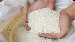 DA backs longer rice price cap