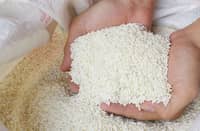 DA backs longer rice price cap