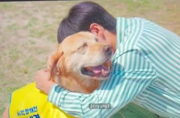 What ‘Heavenly Ever After’ gets right about pets
