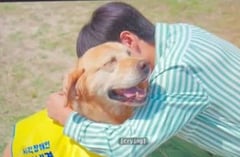 What ‘Heavenly Ever After’ gets right about pets