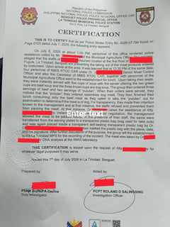 Benguet restaurant faces new complaint over suspected dog meat