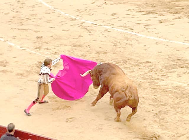 WATCHING a bullfight in Las Ventas, Madrid.