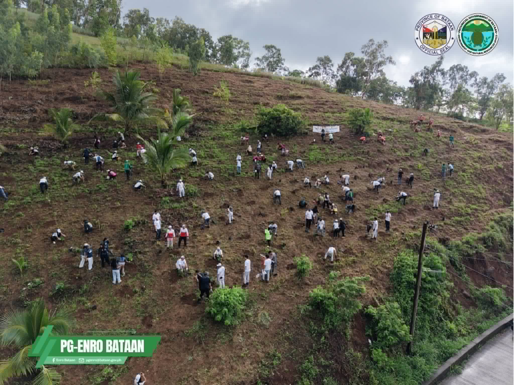AboitizPower scholars join Bataan Arbor Day, plant 2,000 tree seedlings