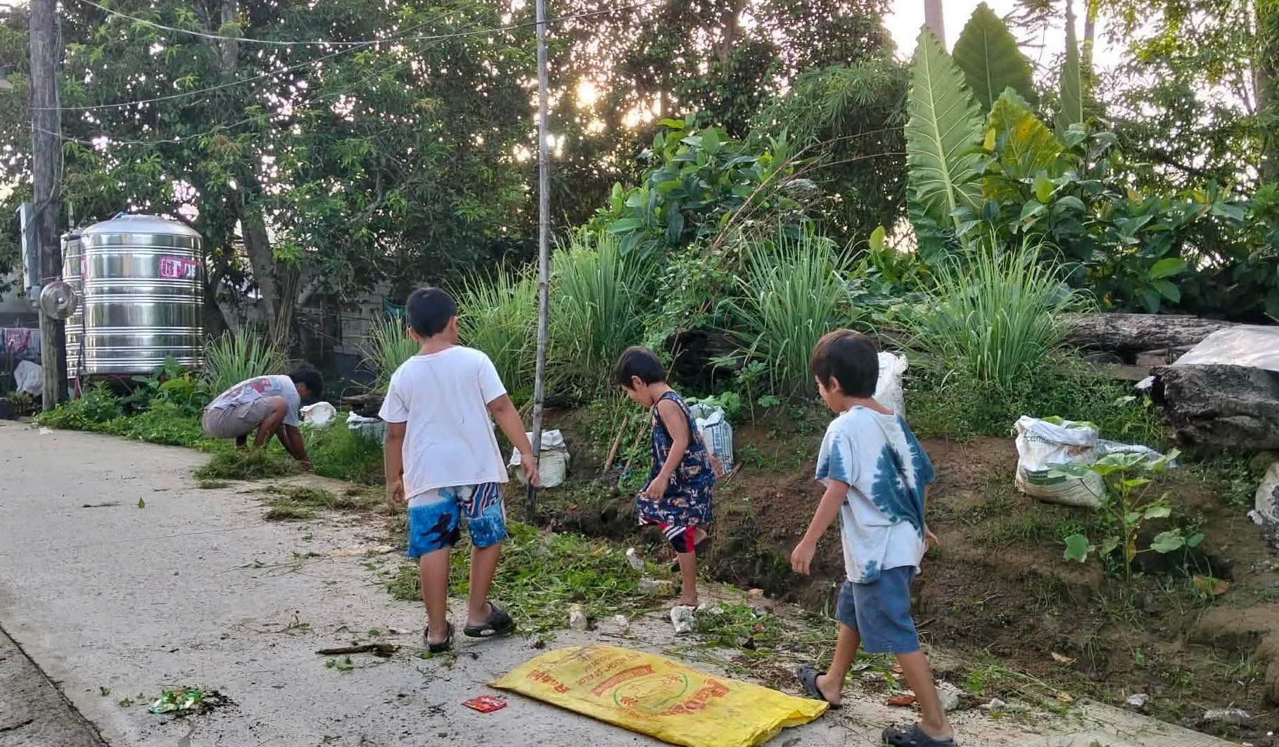 Chikungunya outbreak declared in two Samar villages