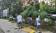 Chikungunya outbreak declared in two Samar villages