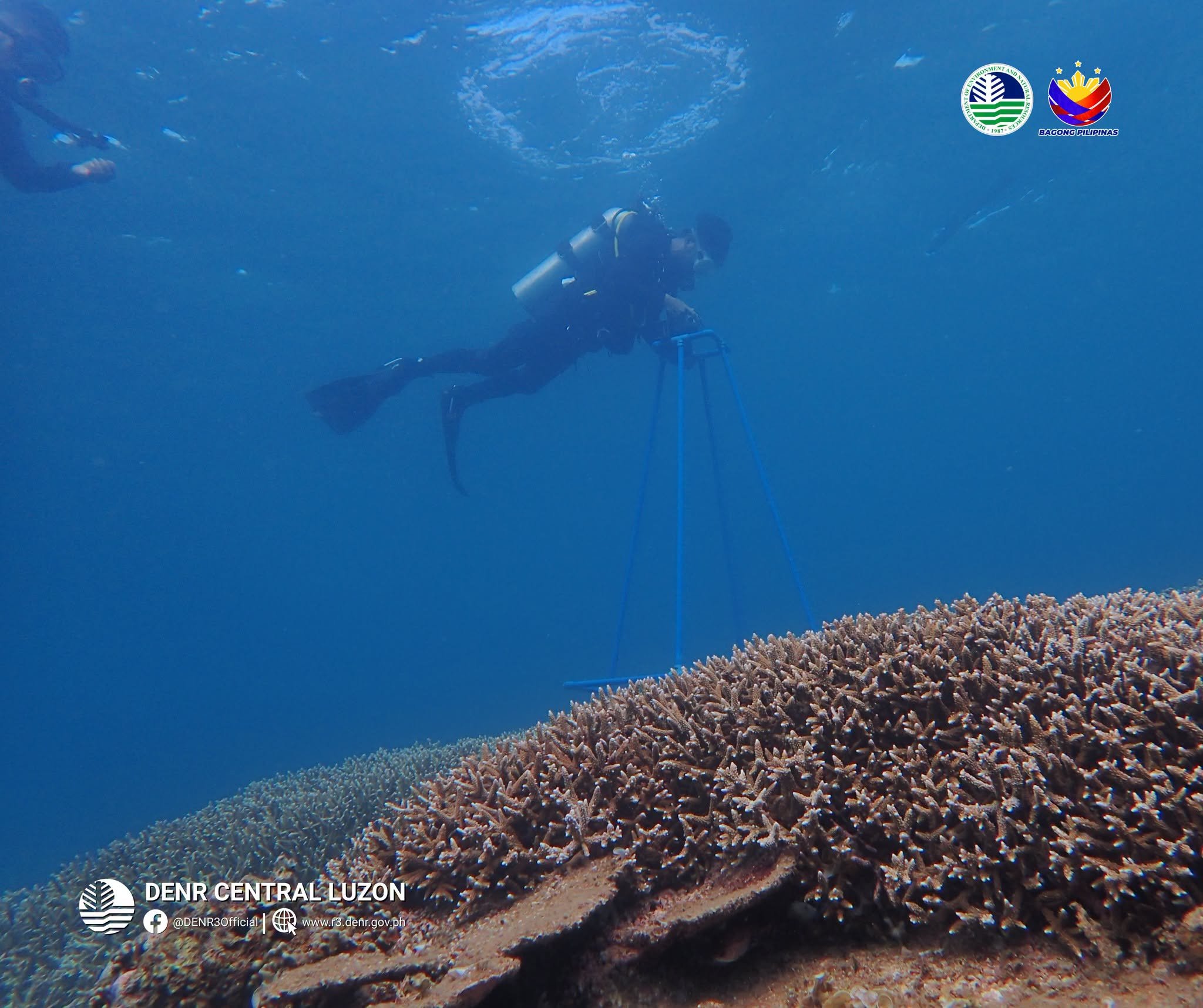 DENR includes two new marine protected areas in Zambales