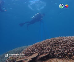 DENR includes two new marine protected areas in Zambales