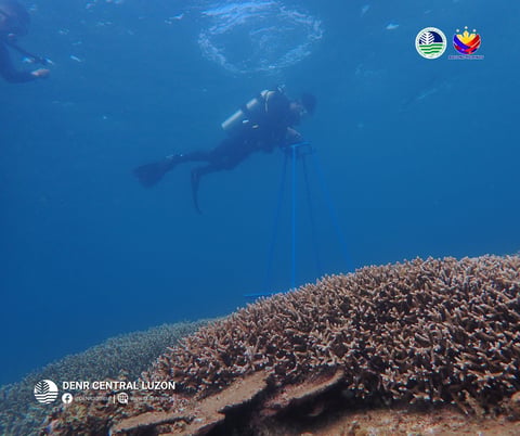 DENR includes two new marine protected areas in Zambales