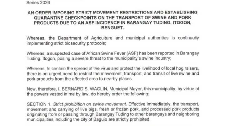 Itogon imposes ASF movement restrictions after suspected case