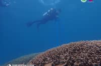 Zambales expands marine sanctuary